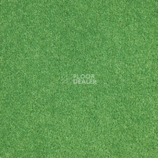 Ковровая плитка Modulyss Cambridge Xtra 60 f фото 1 | FLOORDEALER